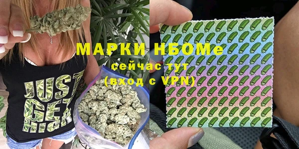 стафф Богданович